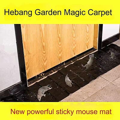 Rat Gum Trap