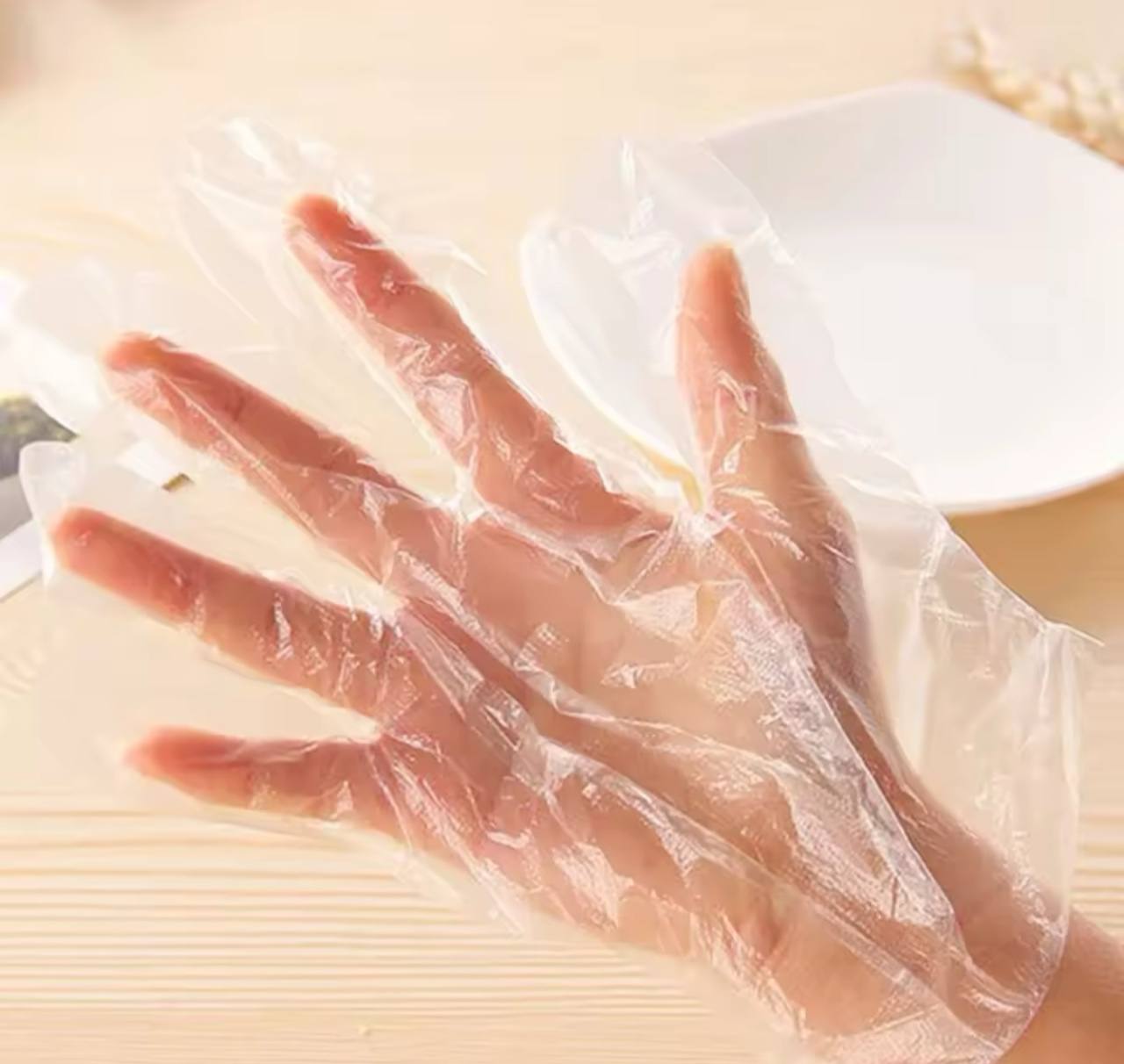 DISPOSABLE NYLON GLOVES - 100 PIECES DISPOSABLE NYLON GLOVES - 100 PIECES